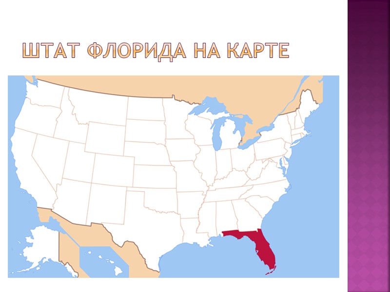 ШТАТ ФЛОРИДА НА КАРТЕ